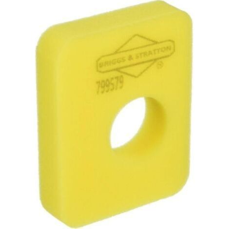 Briggs & Stratton 799579 Filtre à air (1/3)