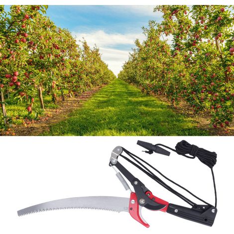 Scie d'élagage en hauteur avec perche télescopique extensible, un outil puissant pour l'élagage des branches. (1/5)