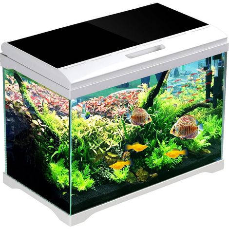 Set acquario SunSun Supreme AquaPlant 30l (1/5)