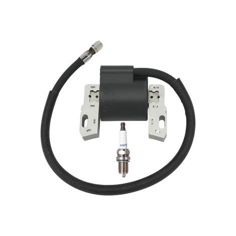 S-giant Bobine d'allumage compatible avec 490586 495859 491312 715231 avec bougie (1/5)