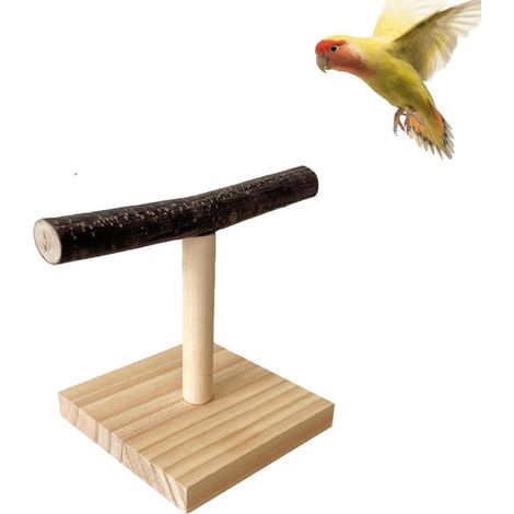 Support De Formation d'oiseaux, Playstand d'Oiseau Support, Support De Jeu Portable pour Perroquet, Perchoir à Oiseaux en Bois en Forme De T, pour Inséparables, Perruches, Calopsittes (1/5)