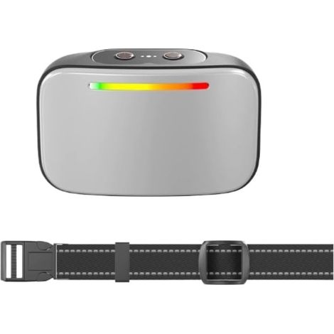 Tierfreundliches Halsband 2.0 (Silber) (1/5)