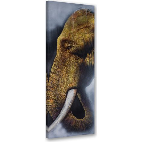 Tableau sur toile Eléphant unique 30x90 (1/5)