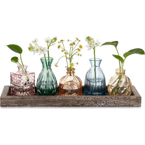 Petit Vase en Verre Decoratif: 5 Vase Fleur Soliflore en Verre avec Plateau en Bois pour Centre de Table - Coloré Mini Vases Decoratifs en Verre Vase Decoratif Design pour Decoration Interieur (1/5)