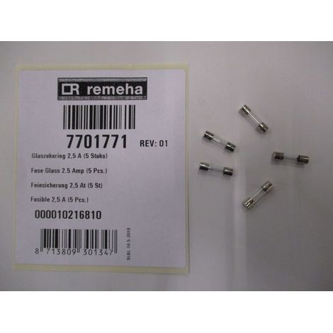 Remeha Fusibile in vetro 2,5 Amp (5x), 7701771