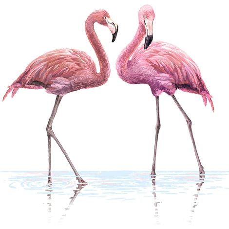 Papier peint panoramique - Flamants Roses - 255 cm x 255 cm (1/2)