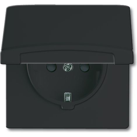 Busch-Jaeger 2064-0-0295 toma de corriente CEE 7/3 Negro (1/2)