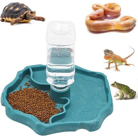 Abreuvoir pour reptiles et tortues 2-en-1, réservoir d'eau amovible, gamelle pour terrarium, tortues et reptiles (1/5)