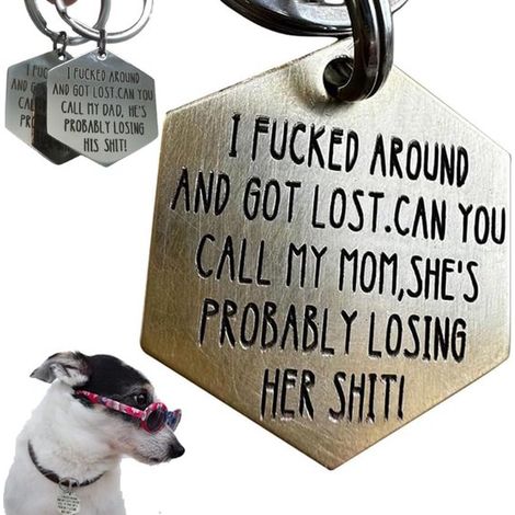 Médaille humoristique pour chien - médaille amusante pour animal de compagnie - médaille gravée en profondeur pour collier de chien (1/5)