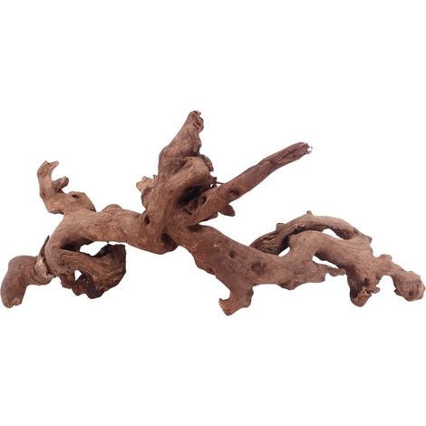 XL Driftwood Flußwurzel Nr.4906 Holz Deko Aquascaping