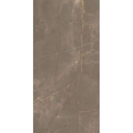 Grès Cérame Effet Marbre Naturel Brun Mat Rt 60X120 - EAOD1509 (Ceramishop.fr) (1/5)