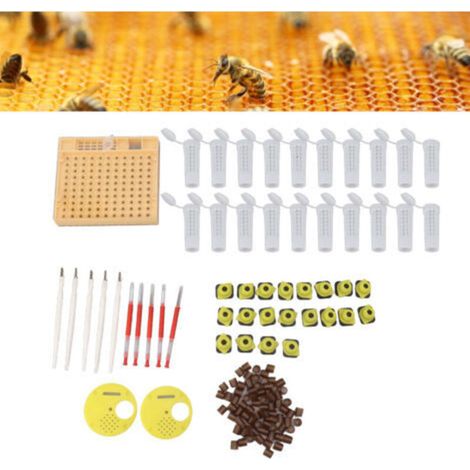 Sistema de cría de abejas reinas de plástico, juego de celdas para nidos, suministros y accesorios para apicultura, DUBUNS