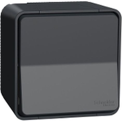 Pulsador MUREVA gris IP55 10 A 250 V AC para interiores y exteriores