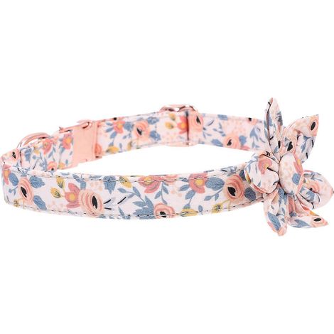 Collier pour chiot femelle, adorable collier pour chienne, lot de 2 avec un design chic (1/5)