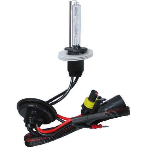 12/24V Lampadina HID Xenon 8.000K - H1 - 1 pz  - Scatola (1/2)