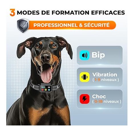 Dog Training Collar, 1000 m Range, Electric Dog Collar with Remote Control, 4 Light/Sound/Vibration/Shock Modes, Water Resistant, Suitable for All Dogs (1/4)