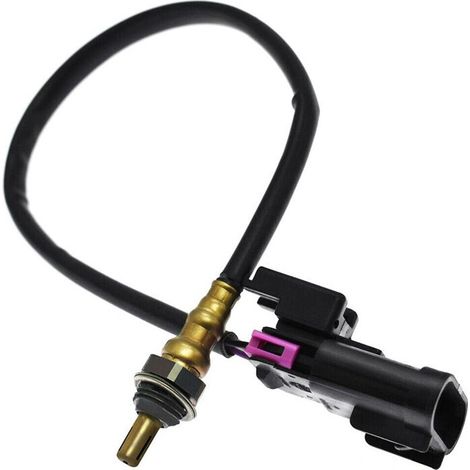 Sauerstoffsensor (O2) für RZR 570 1000 XP XP 4 1000 Turbo 4016021 4013979