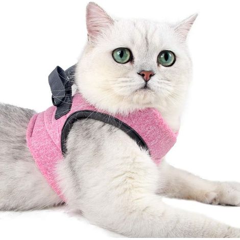 Ultraleichtes Katzengeschirr mit Leine, weiches und bequemes Kittenhalsband, Katzenlaufjacke, auslaufsicher, geeignet für Welpen und Kaninchen (Rosa, S) (1/5)