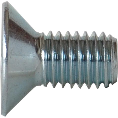 VITE TSP CON CAVA ESAGONALE M 10 x 20- 200 pezzi  - AMBROVIT