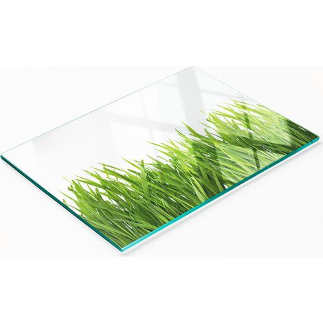 Planche décorative en verre avec motif d'herbe pour présenter des amuse-gueules 80x52 cm (1/5)
