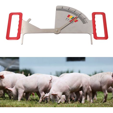 [Guía de alimentación] + [Para cerdas gestantes] + [Compatible con Mano] + [Circuito medidor de grasa dorsal de acero inoxidable] (1/5)