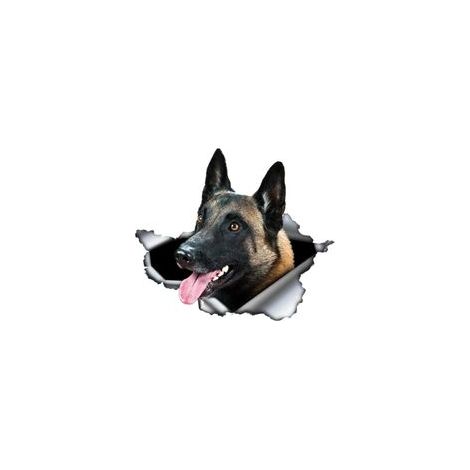 Autocollant de voiture Malinois belge Autocollant de voiture Autocollants réfléchissants 25 cm 3D Déchiré Autocollant Métal Imperméable Belge Berger Chien Autocollant Animal de compagnie Chien (1/4)