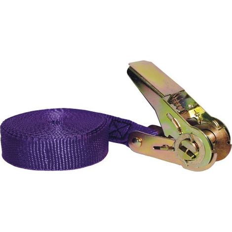Correa de polipropileno con tensor de trinquete 25mm 5m 80kg Uc1 - Chapuis