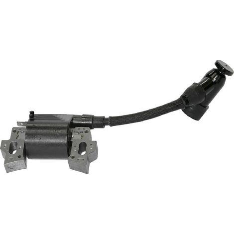 Rasenmäher-Motorspule H650 NGP 361318