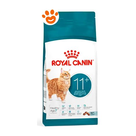 Royal Canin FHN Cat 11+ Alimento secco per gatti anziani, 4 kg