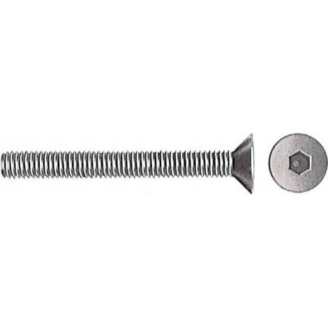 VITI P/BUSSOLA T.S.P. ESAG INCAS 8MA BRUN 30 MM