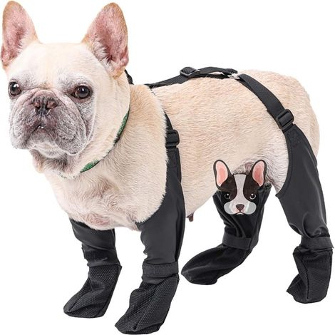 Guêtres chien à bretelles, bottes neige ajustables hiver et pluie, antidérapantes () (1/5)