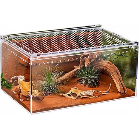 Stapelbare Acryl-Zuchtbox mit 360°-Rundumsicht, Magnetdeckel und Belüftung für Reptilien und Insekten (1/5)