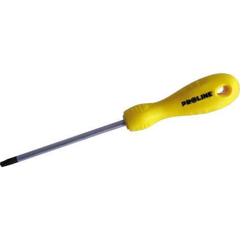 Cacciavite Torx Mega ts27 magnetico antiscivolo 100 mm