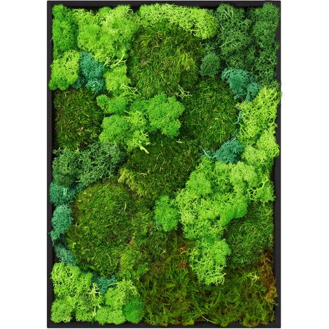 ECD Germany Moosbild Rechteck 38x27 cm, Mooswand Indoor mit echtem Moos-Mix, Moos Deko mit Kugelmoos, Islandmoos, Flachmoos, Holzrahmen, Wanddeko, Natürliche Optik, Pflegefrei, Wandbild für Haus Büro (1/5)