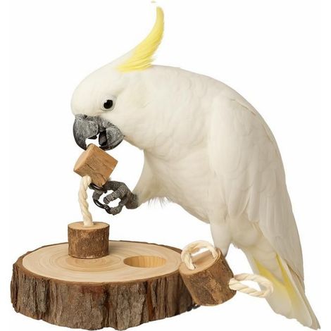 Puzzle Bois Écorce - Pour Perroquet - Jouet Stimulant Naturel - 1 Pièce (1/5)
