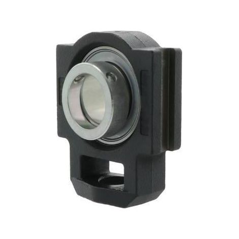 Spann-Gehäuseeinheiten PTUE20 -TV-FA125.5 20mm 1St./VE INA (1/2)