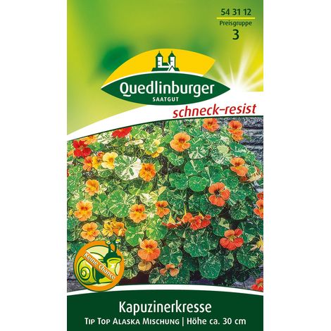 Quedlinburger Saatgut – Capucine Tip Top Alaska en mélange – Graines de fleurs, hauteur env. 30 cm, environ 2 m linéaires (1/2)