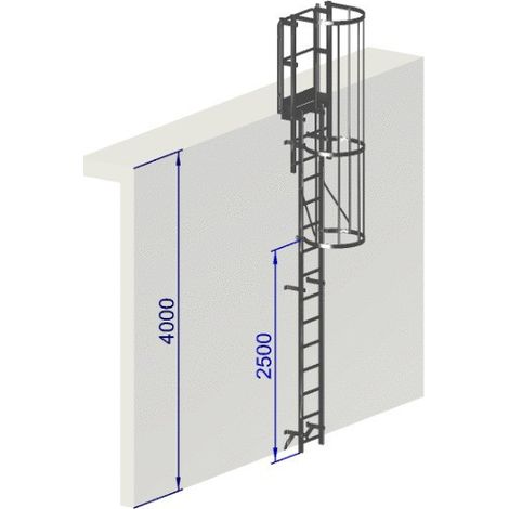 Echelle a crinoline hauteur à franchir 4 mètres Norme NF EN ISO 14 122-4 (1/5)