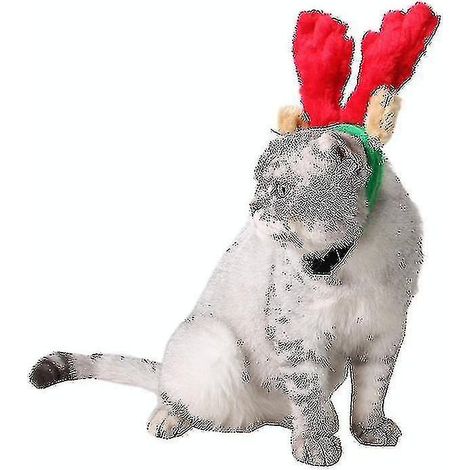 Accessoires de Noël pour animaux de compagnie : chapeau pour chiot, décorations de Noël, serre-tête avec bois de renne, taille L.