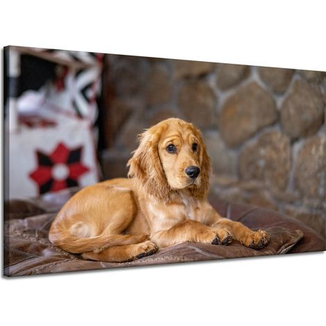 Lienzo impreso con diseño de perro Cocker Spaniel, 120x70 cm.