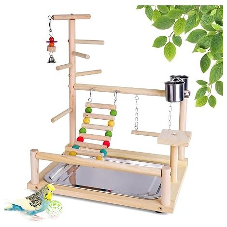 Mangeoire pour perroquets et autres oiseaux, avec échelle, balançoire et récipient pour nourriture ou eau, pour cages et zones d'élevage domestiques.-AquaForge (1/3)