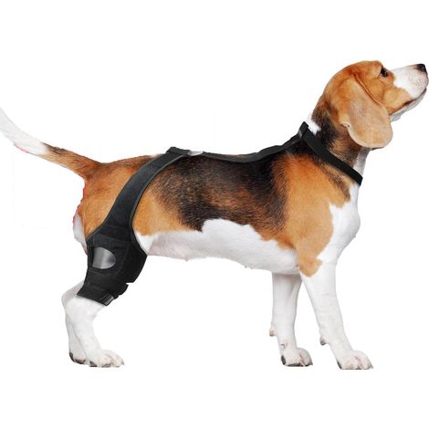Genouillère pour Chien  Attelle De Soutien pour Patte Arrière  Genouillère Réglable avec Sangle de Soutien pour Rééducation et Faiblesse Musculaire (1/5)