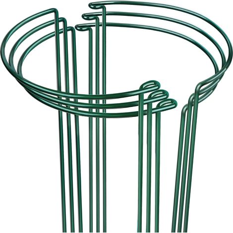 Un ensemble de 6 tuteurs pour plantes et supports métalliques pour pivoines, 9,8 cm de large x 15,7 cm de haut.