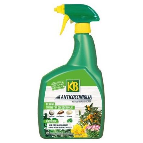 KB Insetticida Anticocciniglia Liquido Pronto All'uso 800ml (1/4)