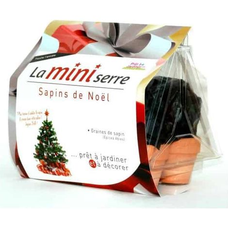 Mini serre 6 pots sapins de Noël (1/3)