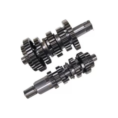Motorcycle models affected by the main and auxiliary shaft: DM200