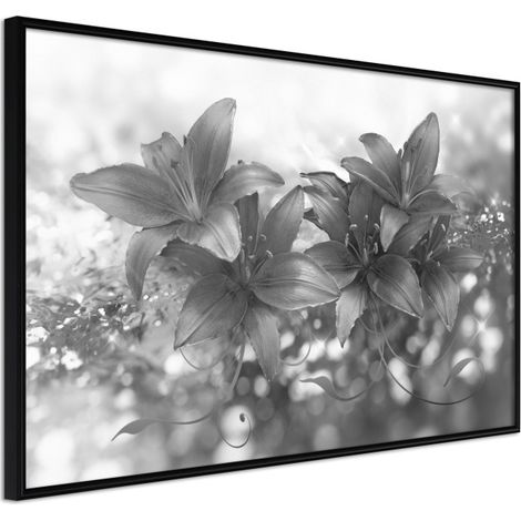 Affiche Murale Encadrée "Dark Lillies" 30 x 20 cm Noir