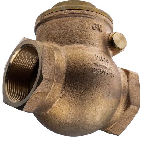Clapet antiretour en Bronze RS PRO BSPT 2" ( Prix pour 1 ) (1/3)