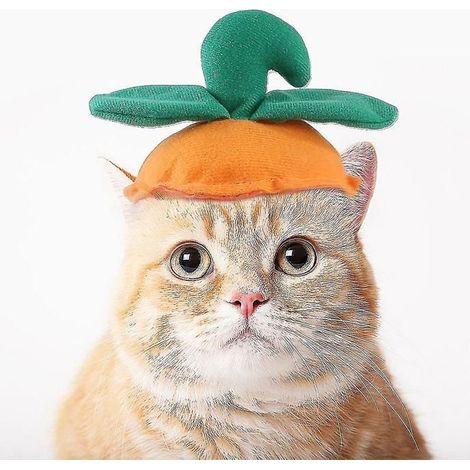 Lustige Haustierkleidung, Kürbishut für Halloween, perfekt für kleine und mittelgroße Katzen und Hunde