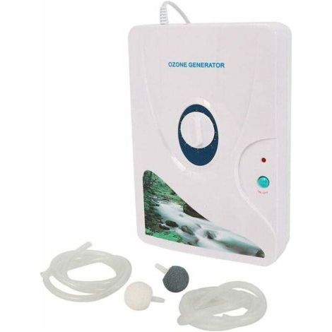 Purificateur d'air portable 600 g/h (1/5)